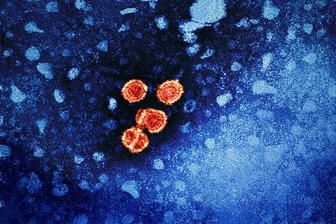 Hepatitis_B_Virus_(52444068124)