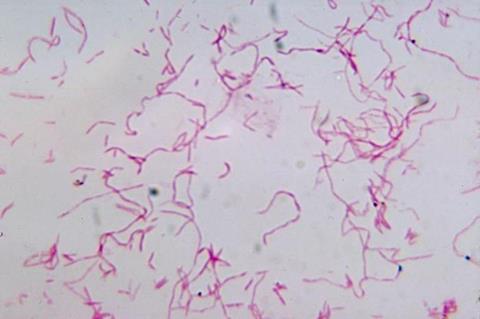 14123_2967_lores_595544_crop