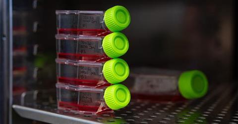 Lab set-up of a medium which is used to grow malaria parasites.