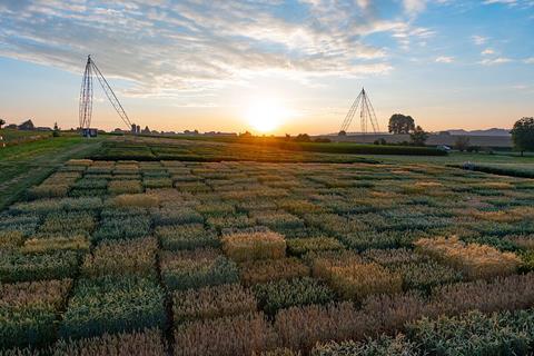 Dawn_in_the_field_near_Zurich