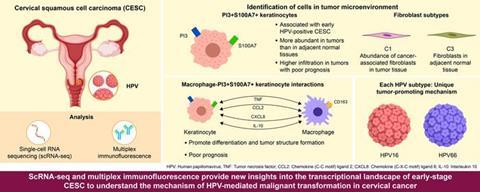 Low-Res_CMJCS_238_2_IMAGE