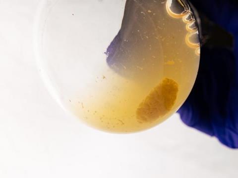 Low-Res_biofilm-spaceflight-flask