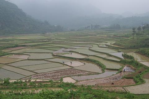 China_-_Yangshuo_29_-_Rice_Paddy_Terraces_(140905203)