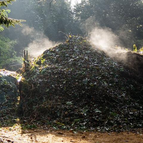 Compost_Heap