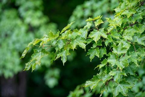 Low-Res_UNDERC_06.22_Exterior and Misc-11_resize