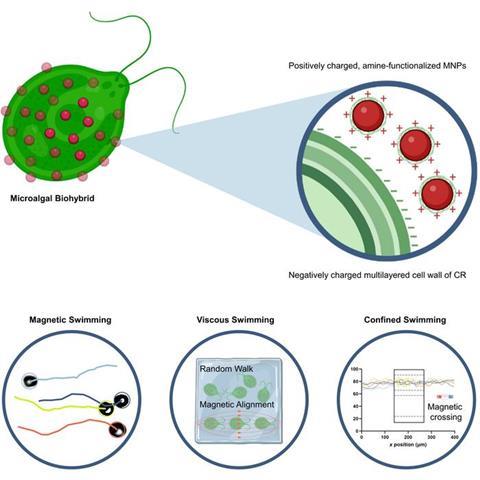 Low-Res_Graphical Abstract