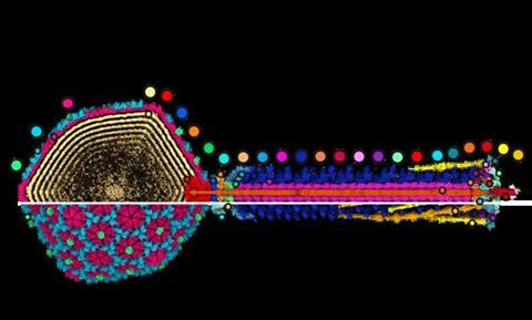 low-res - 2025-11-10T165325.184