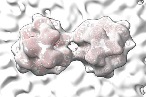 Low-Res_rsv_proteins