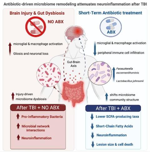 Low-Res_Nature Communications Biology Sitecore