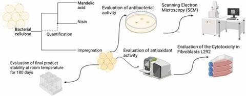 Low-Res_JDSCT-D-25-00031