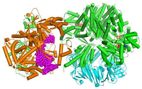 Yeast Ctf18-RFC_Courtesy of Dr Huilin Li, Van Andel Institute (1)