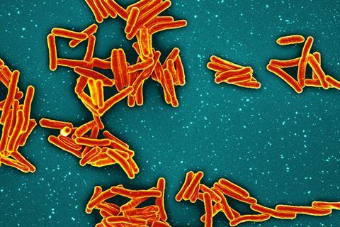 Mycobacterium_Tuberculosis_Bacteria_-_53604014169