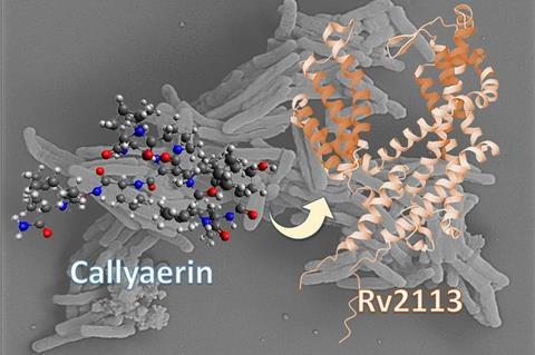 Low-Res_CellChemBiol_final 2 -red