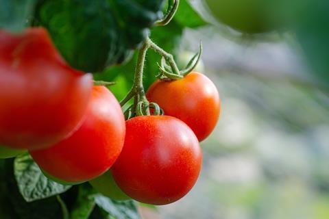 tomatoes-5566744_1280