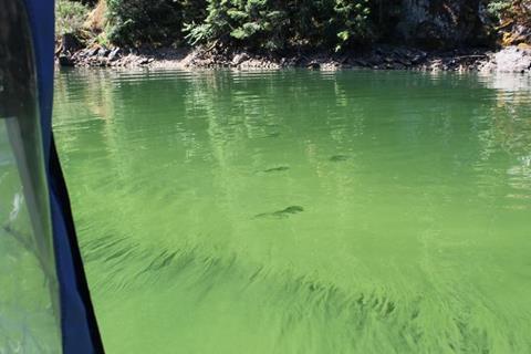 Low-Res_54917234391_b2d5067e76_k