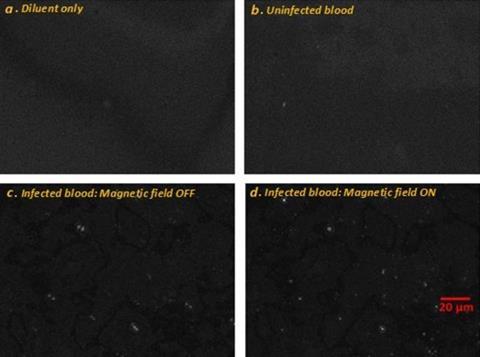 Low-Res_BOEx 586641 Figure 2