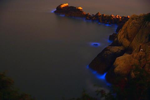 Blue_Tears_in_the_Matsu_Islands