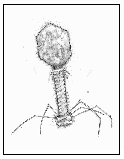 Escherichia virus