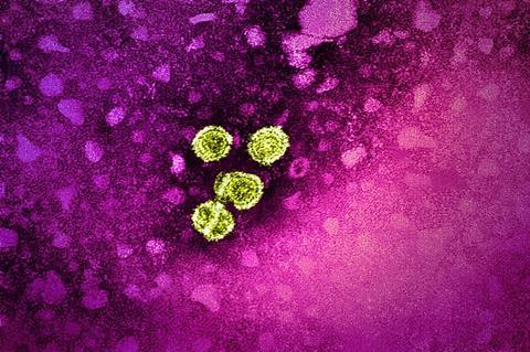 Hepatitis_B_Virus_(52451626575)