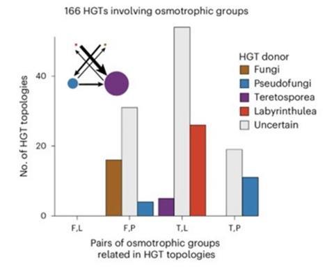 Low-Res_20260605_horizontal gene transfer eukaryotes