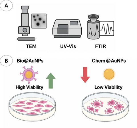 Low-Res_Fig. 2_Suzuki_ACS Sustainable Chemistry & Engineering