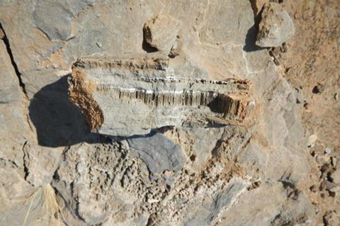 Low-Res_09_geowiss_geomikrobio_mikroorganismen_01