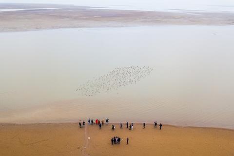 Poyang_Baishazhou_2017.11.25_15-05-05