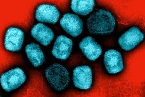 Mpox_Virus_Particles