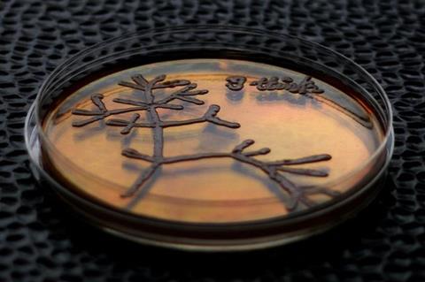 Low-Res_Yeast1