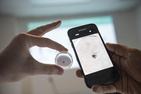 Low-Res_Using AI to ID mosquitos-03
