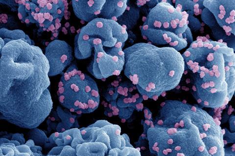 Novel_Coronavirus_SARS-CoV-2_070124