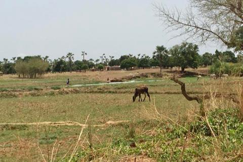 Low-Res_Banfora_Malaria Endemic Areas (1)