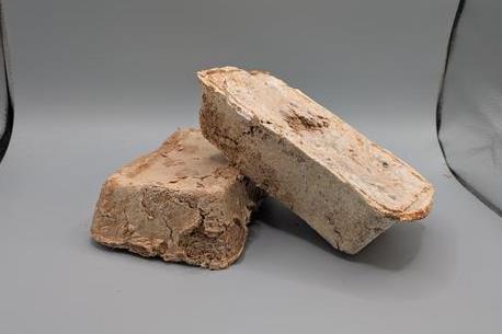Low-Res_fungus bricks NASA STTR (1)