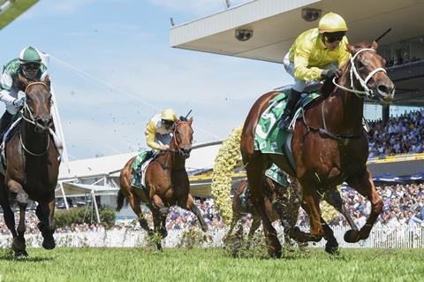 thoroughbred-4084308_1280