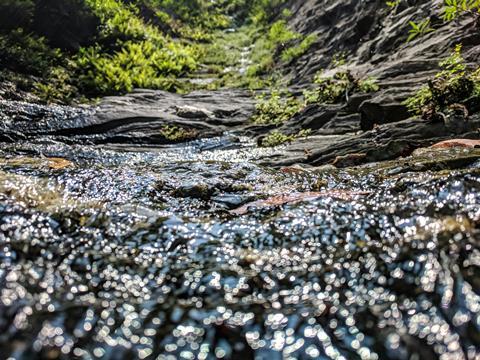 pexels-ajaybhargavguduru-977517