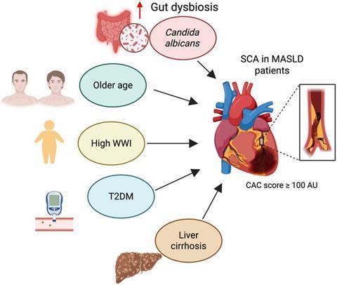 Low-Res_jcth-14-269-ga