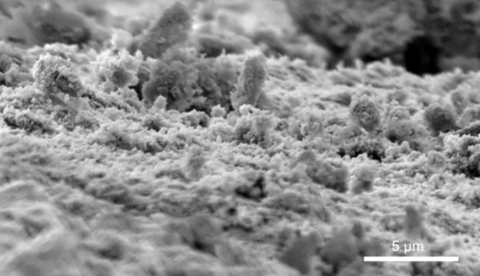 Screenshot 2026-03-05 094829