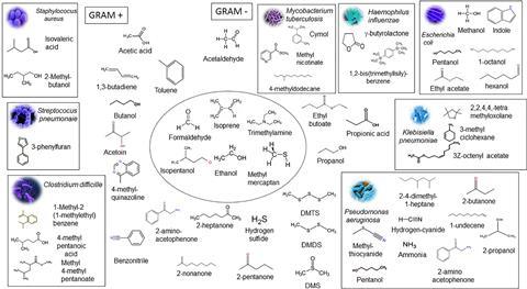 Microbial VOC signatures