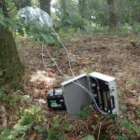 Low-Res_AOD & VOCs Air entrainment to collect oak leaf volatiles