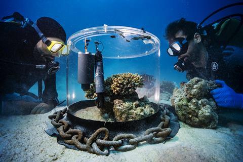Nature-SAW2026-coral-village-CREDIT-Uli-Kunz-HR