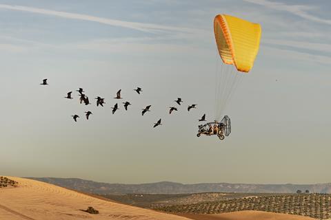 Nature-SAW2026-OVERALL-WINNER-migrating-ibis-CREDIT-Gunnar Hartmann-HR