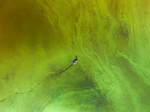 Nature-SAW2026-algal-bloom-CREDIT-Haolun (Allen) Tian-HR