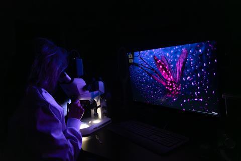 Nature-SAW2026-microscopic-fly-CREDIT-Shayanta Chowdhury-HR
