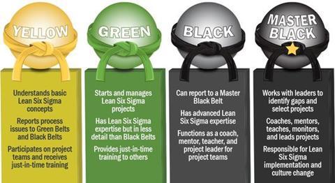 Six Sigma Belts