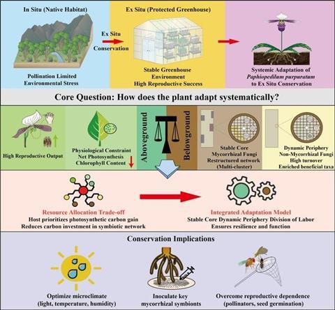 Low-Res_Graphical abstract (2)