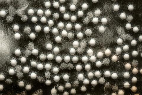 Polioviruses
