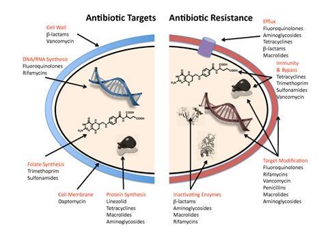 Antibiotic resistance mechanisms