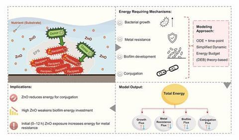 Low-Res_311_bacterial_energy_model_reveals_how_antimicrobial_resistance_spreads_in_environment_fig1