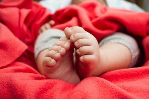 pexels-designecologist-2526120