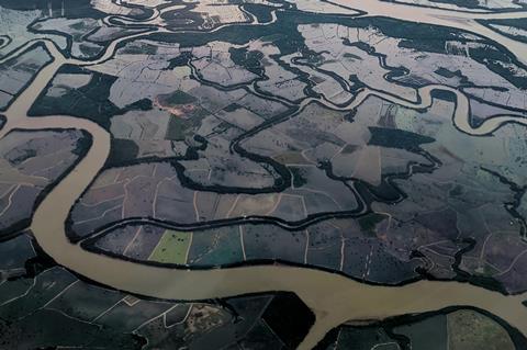 pexels-kopi-hitam-mantap-1169537852-32035652